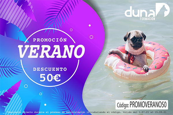 Auxiliar Técnico Veterinario - ATV, auxiliar de veterinaria, curso atv.