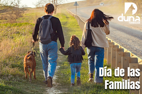 Auxiliar Técnico Veterinario - ATV, auxiliar de veterinaria, curso atv.