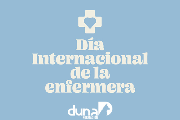 Auxiliar Técnico Veterinario - ATV, auxiliar de veterinaria, curso atv.