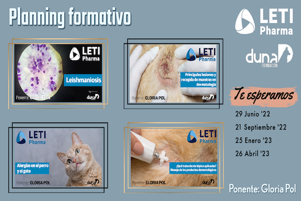 Auxiliar Técnico Veterinario - ATV, auxiliar de veterinaria, curso atv.