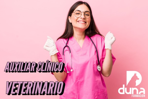 Auxiliar Técnico Veterinario - ATV, auxiliar de veterinaria, curso atv.
