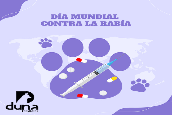 Auxiliar Técnico Veterinario - ATV, auxiliar de veterinaria, curso atv.