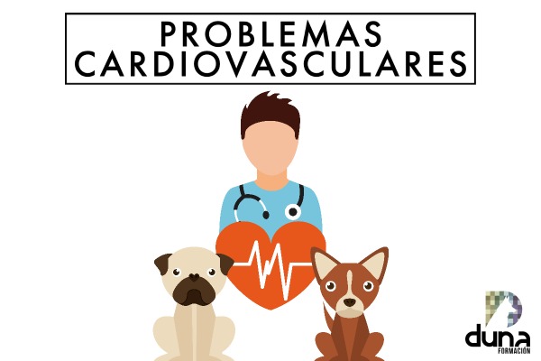 Auxiliar Técnico Veterinario - ATV, auxiliar de veterinaria, curso atv.