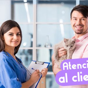 Auxiliar Técnico Veterinario - ATV, auxiliar de veterinaria, curso atv.