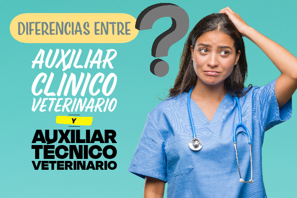 Auxiliar Técnico Veterinario - ATV, auxiliar de veterinaria, curso atv.