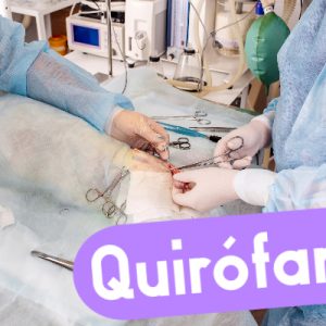 Auxiliar Técnico Veterinario - ATV, auxiliar de veterinaria, curso atv.
