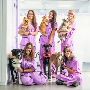 Formación completa para ser Auxiliar Clínico Veterinario con prácticas reales y temario adaptado al BOE