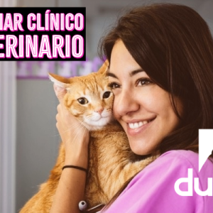 Auxiliar Clínico Veterinario - ATV, auxiliar de veterinaria, curso atv.